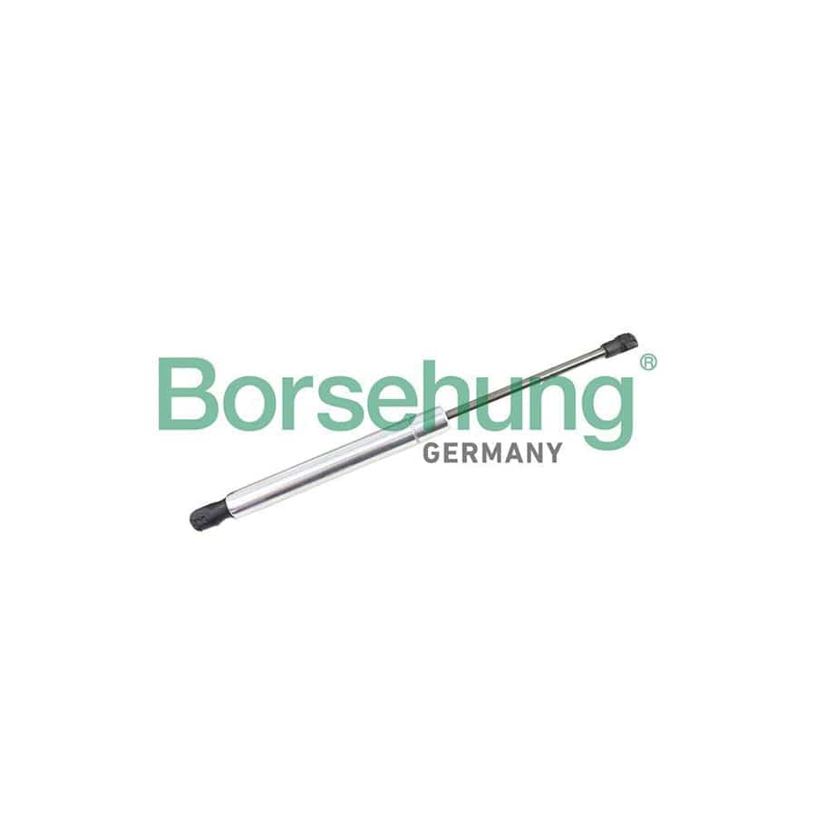 Borsehung B18459 Tailgate Strut For Vw Phaeton (3D1, 3D2, 3D3, 3D4, 3D6, 3D7, 3D8, 3D9)