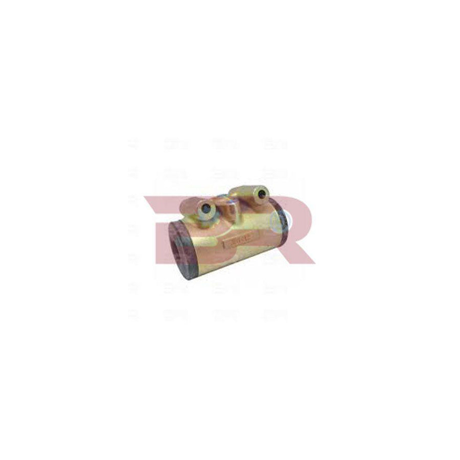 Botto Ricambi BRFR6968 Wheel Brake Cylinder For