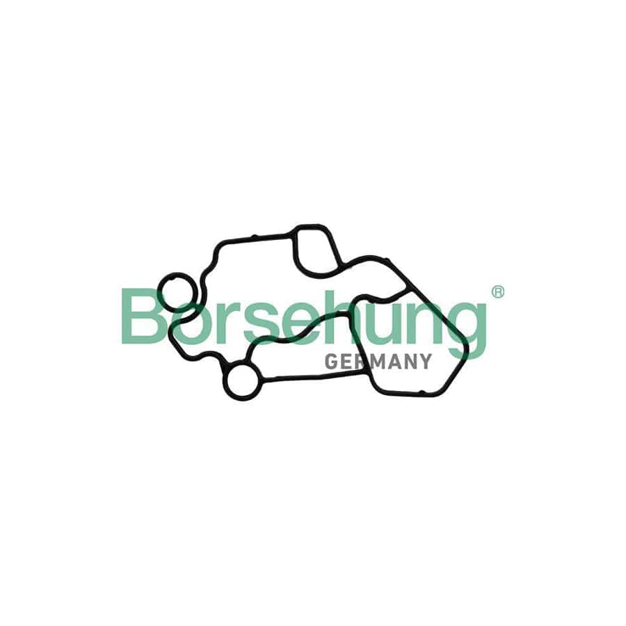 Borsehung B10622 Seal, Oil Filter Housing