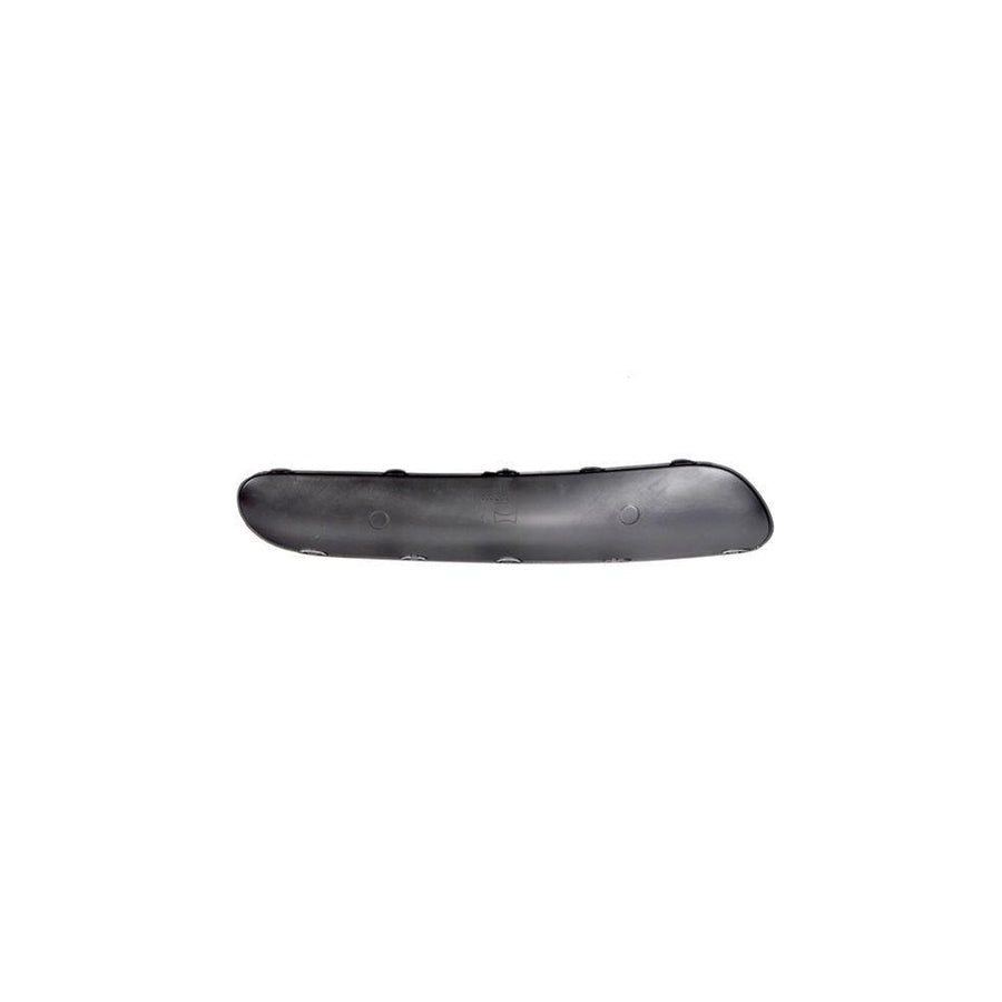 Blic 6502-07-0519923P Bumper Moulding For Citroen C3 I Hatchback (Fc, Fn)