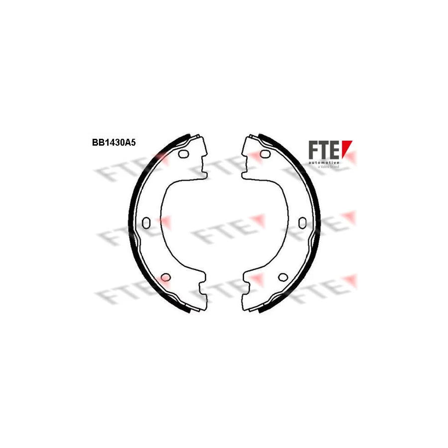 Fte 9100157 Handbrake Shoes | ML Performance UK Car Parts