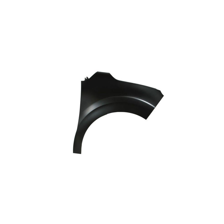 Blic 6504-04-0532312P Wing Fender For Citroen C3