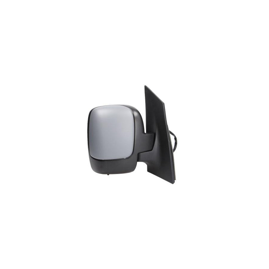 Blic 5402-21-032364P Wing Mirror