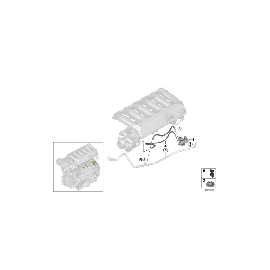 Genuine BMW 11742248843 E70 E53 E83 Hose Clamp (Inc. X5 40dX, 525xd & 325d) | ML Performance UK Car Parts