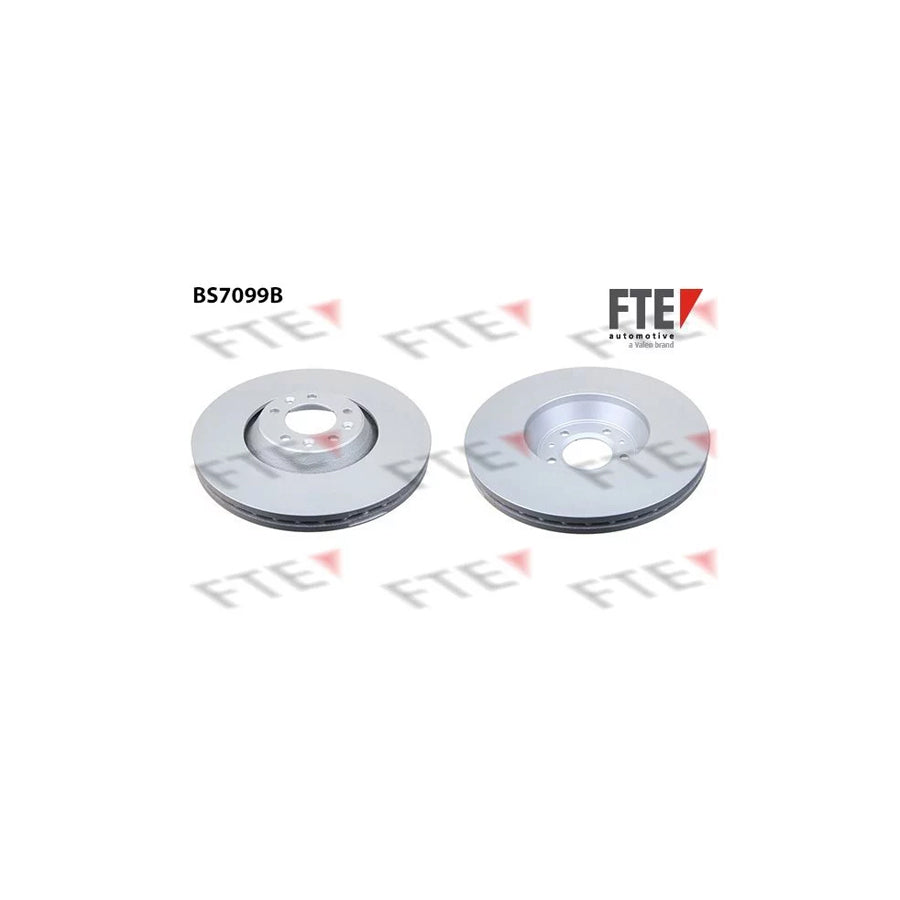 Fte 9081071 Brake Disc | ML Performance UK Car Parts