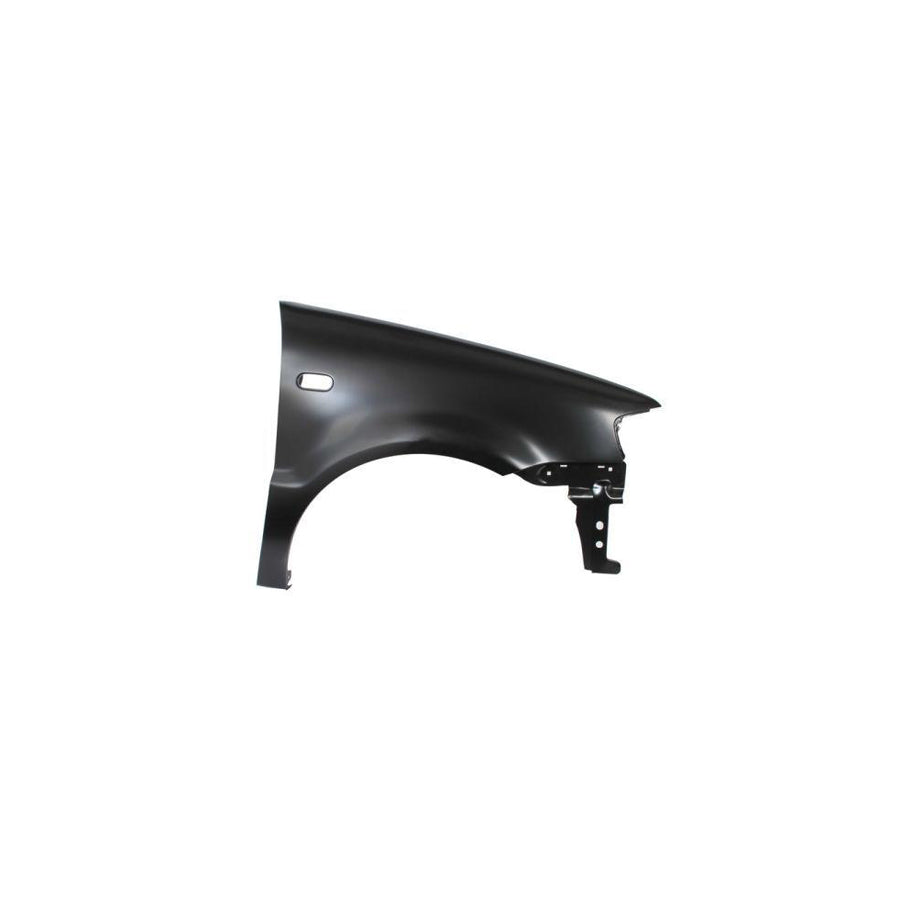 Blic 6504-04-9504316P Wing Fender For VW Polo