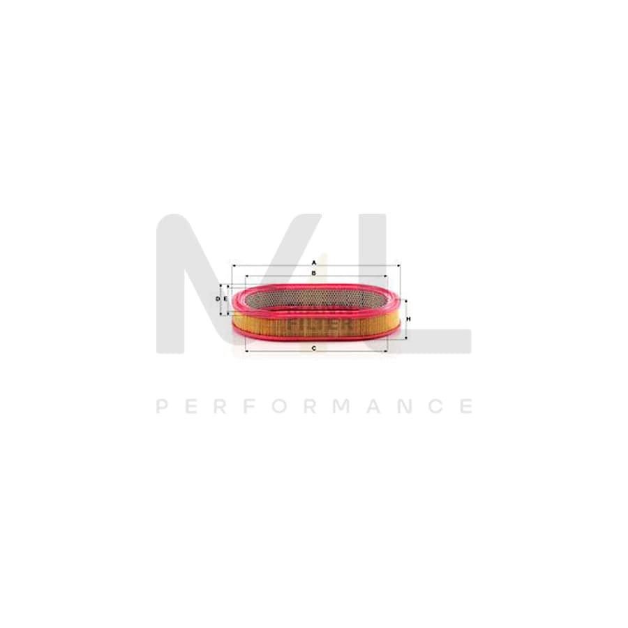 MANN-FILTER C 3975/1 Air Filter Filter Insert | ML Performance Car Parts