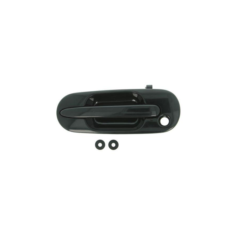 Blic 6010-12-028401P Door Handle