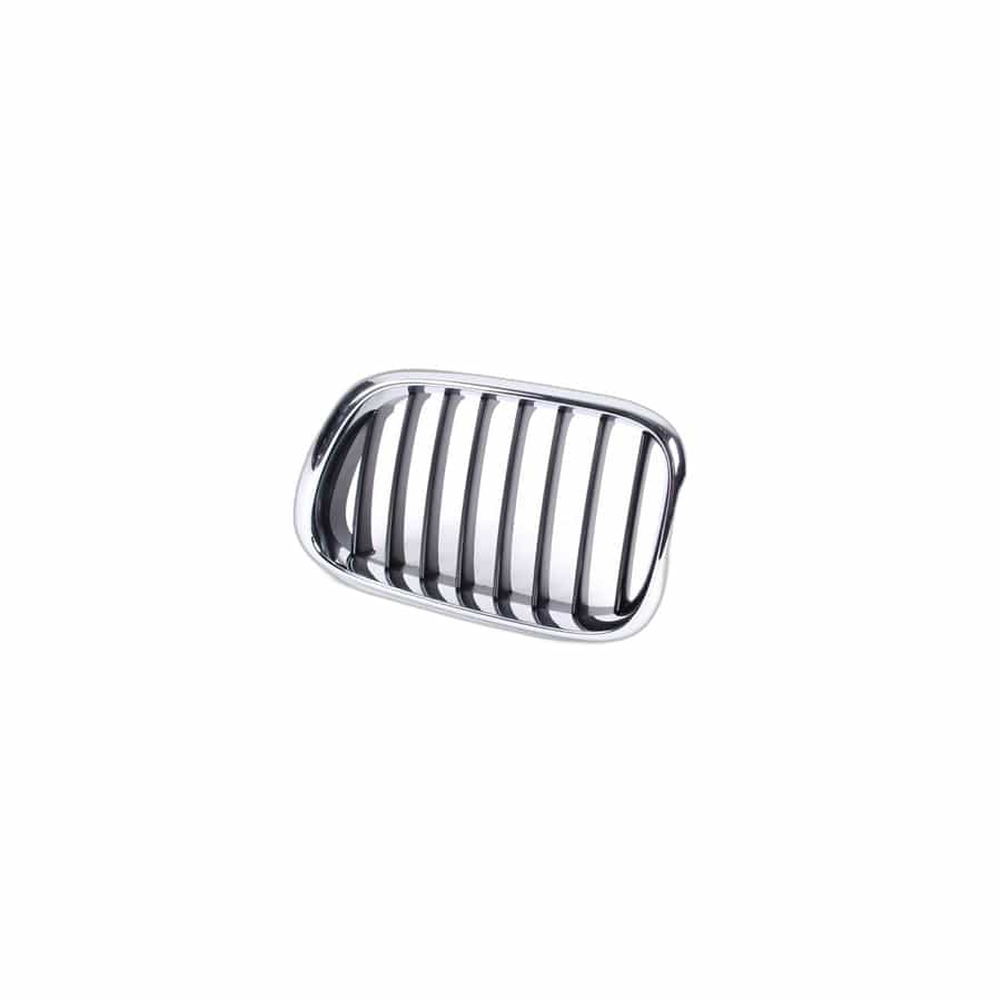 Genuine BMW 51138402645 E53 Grille, Front, Left (Inc. X5 3.0i, X5 4.4i & X5 3.0d) | ML Performance UK Car Parts