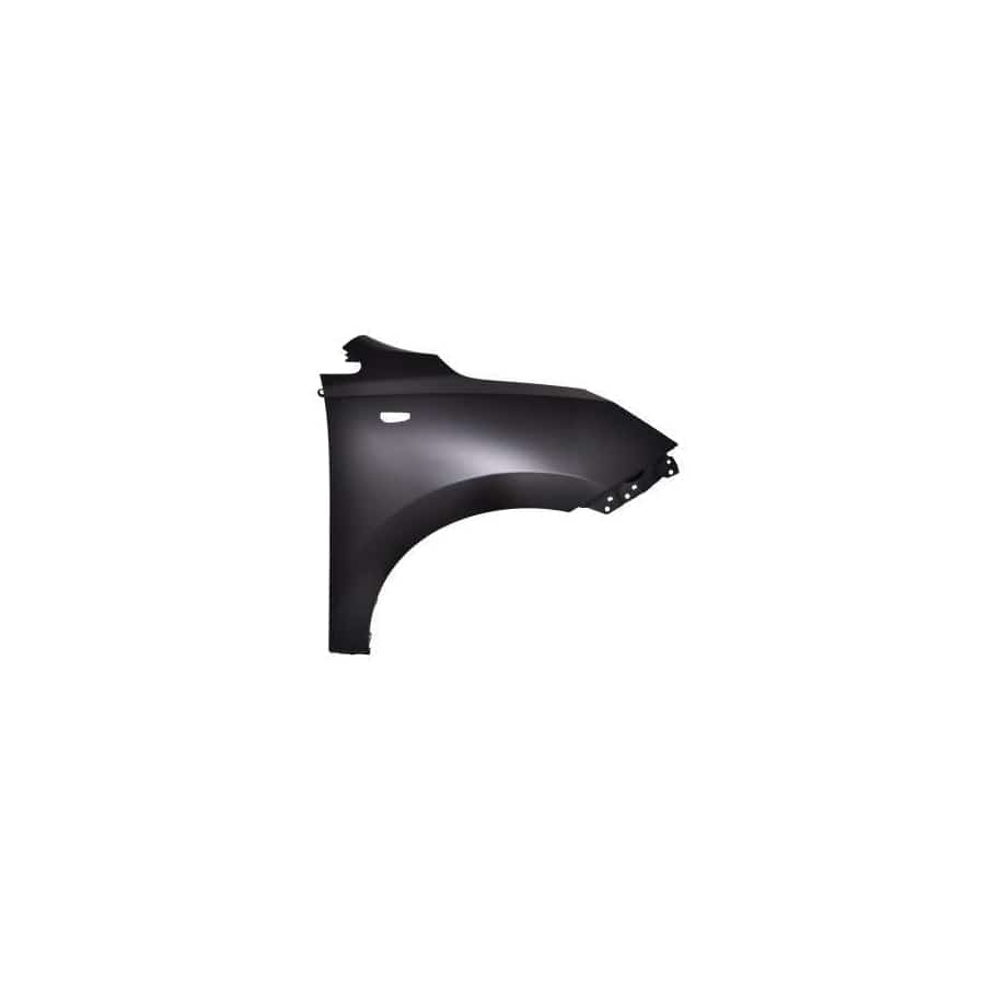 Abakus 01945212 Wing Fender For Hyundai Ix35 (Lm, El, Elh) | ML Performance UK