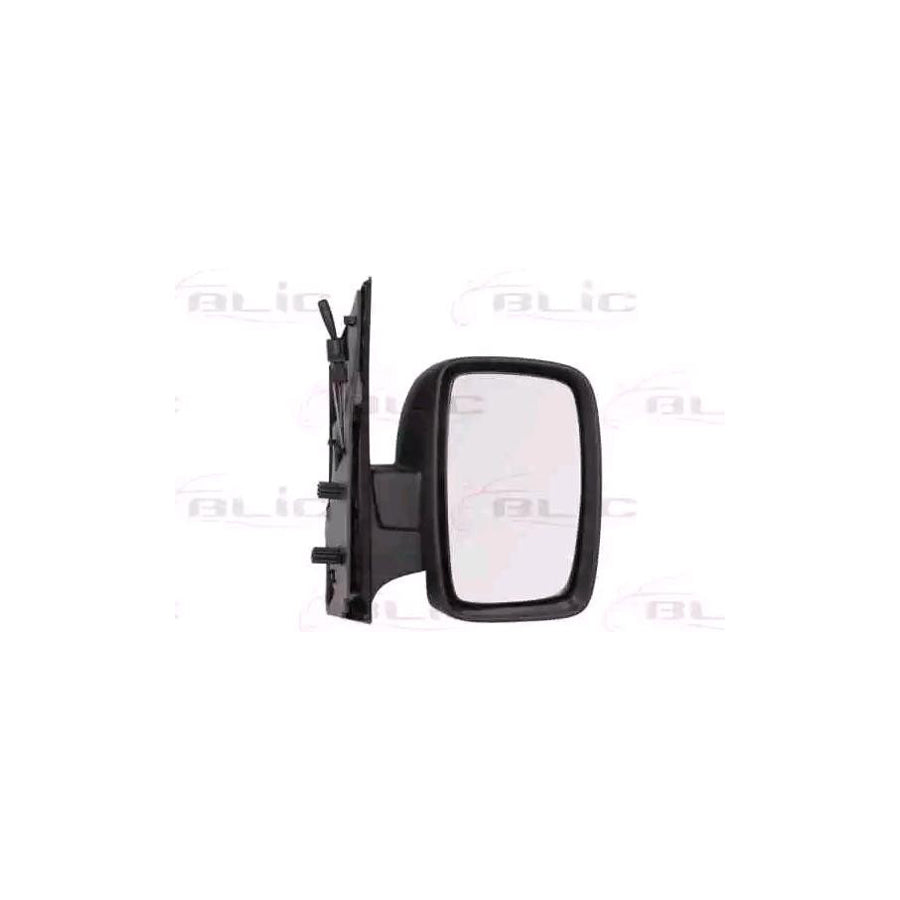 Blic 5402-21-032362P Wing Mirror