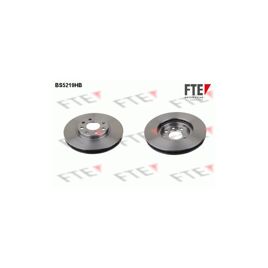 Fte BS5219HB Brake Disc | ML Performance UK Car Parts