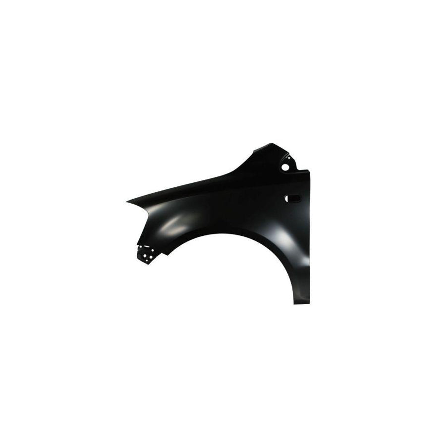 Blic 6504-04-9503311P Wing Fender For VW Fox Hatchback (5Z1, 5Z3, 5Z4)