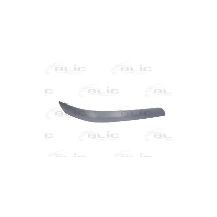 Blic 6502-07-3407922P Bumper Moulding For Mazda Premacy (Cp)