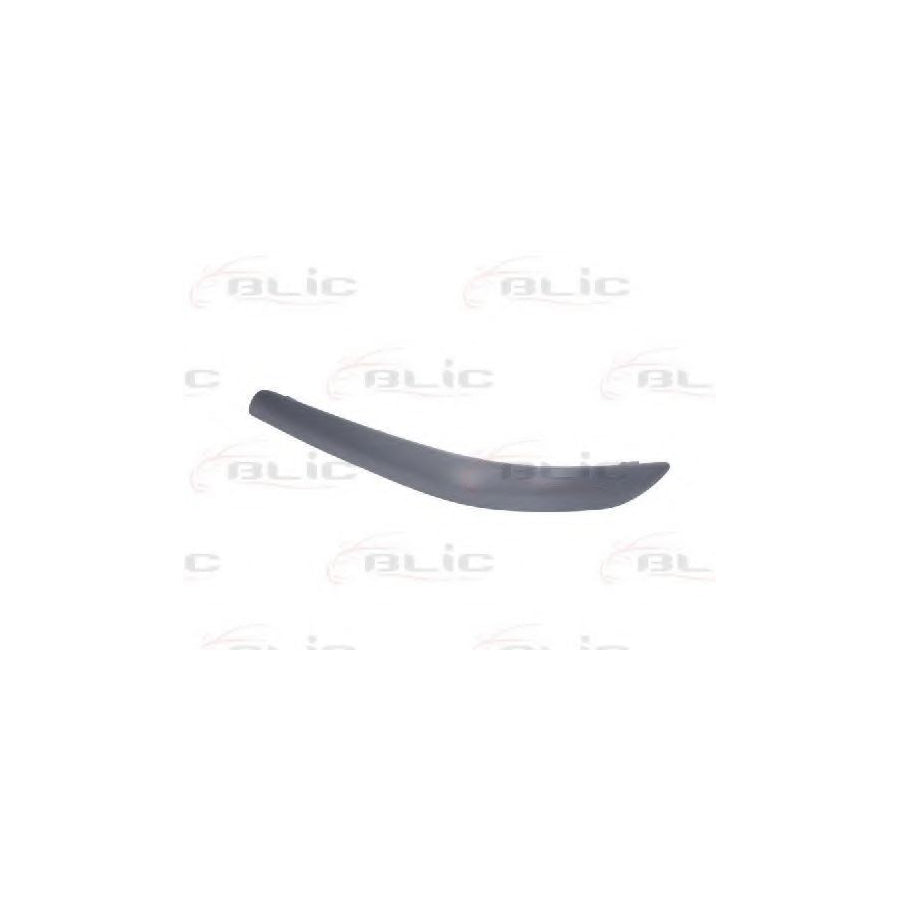 Blic 6502-07-3407921P Bumper Moulding For Mazda Premacy (Cp)