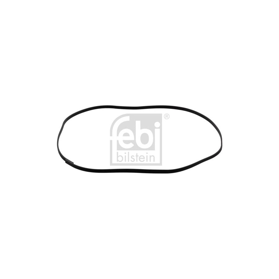 Febi Bilstein 45407 Rocker Cover Gasket