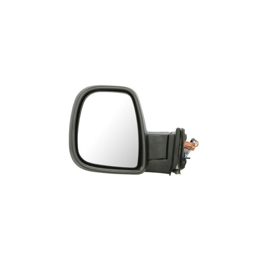 Blic 5402-21-035371P Wing Mirror