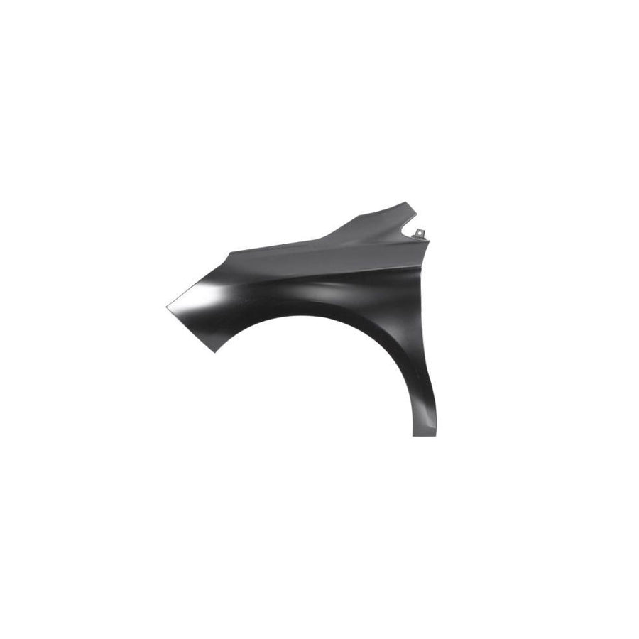 Blic 6504-04-0537313Q Wing Fender For Citroen C4