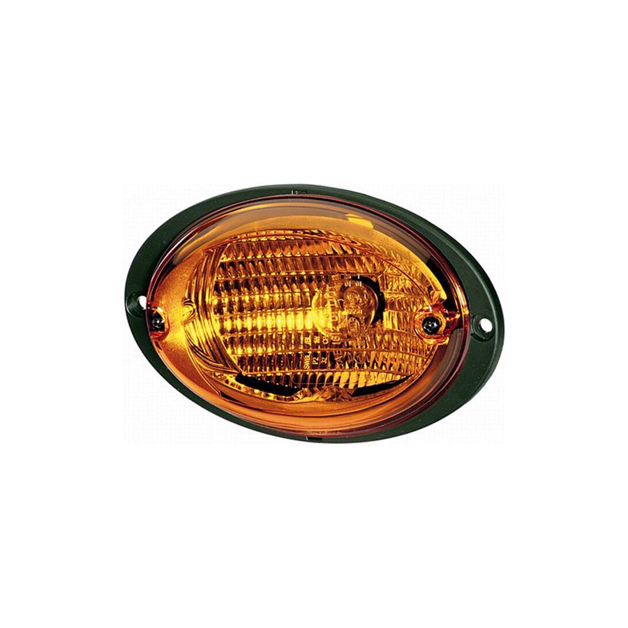 Hella 2BA 343 130-307 Indicator