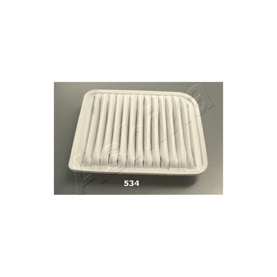 ASHIKA 20-05-534 Air Filter | ML Performance UK Car Parts