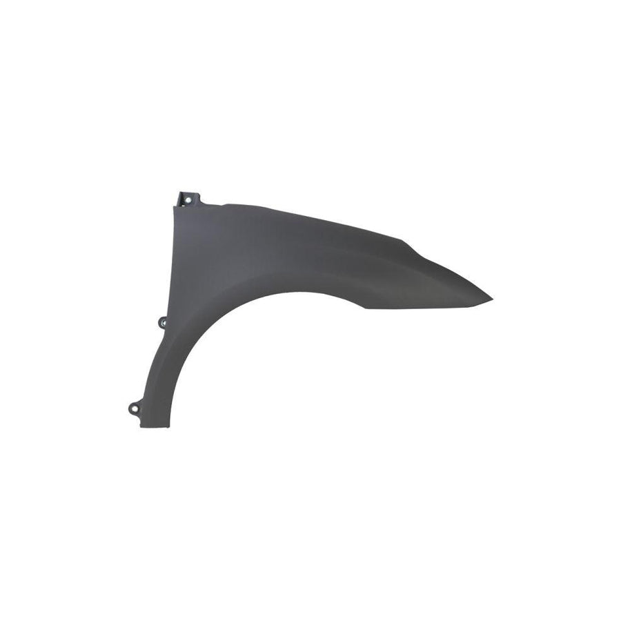 Blic 6504-04-0537312Q Wing Fender For Citroen C4