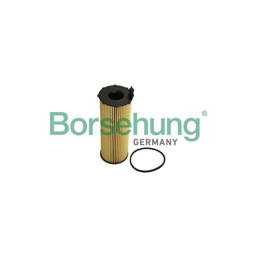 Borsehung B10547 Oil Filter