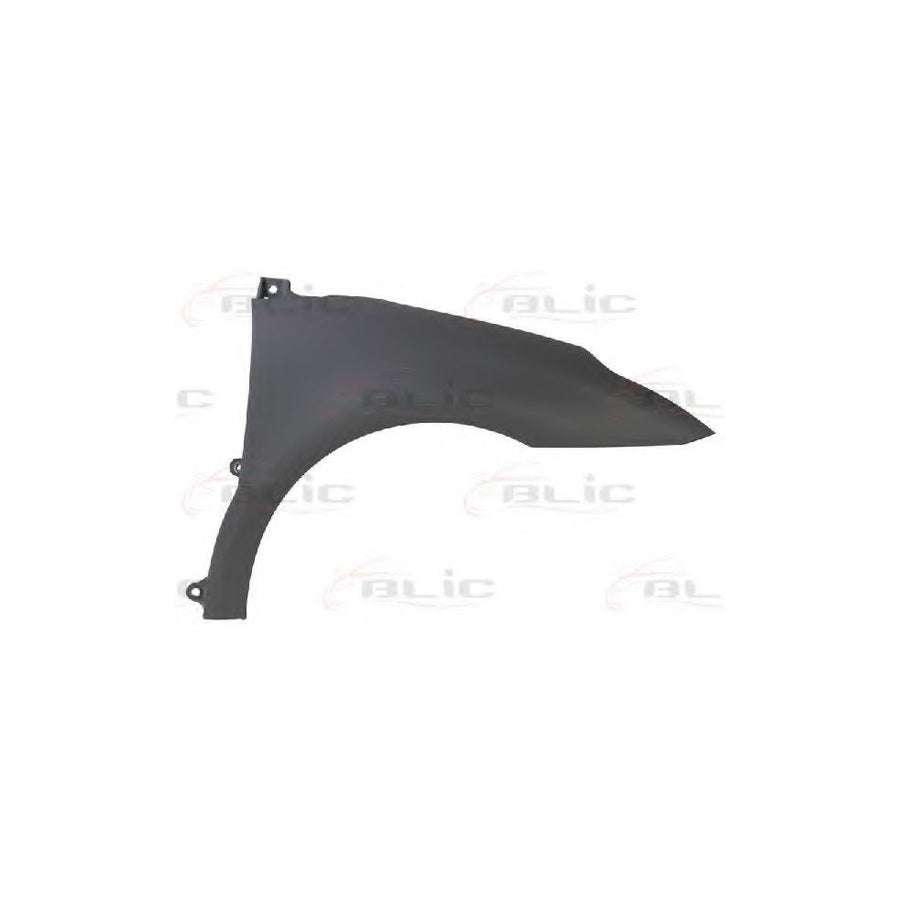 Blic 6504-04-0537312P Wing Fender For Citroen C4