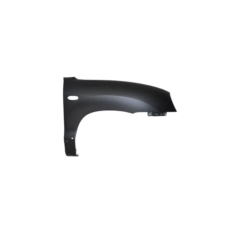 Abakus 01930211 Wing Fender For Hyundai Santa Fe I (Sm) | ML Performance UK