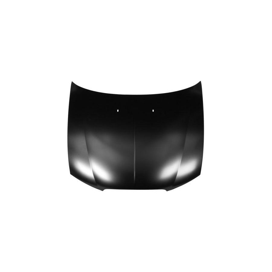 Blic 6803-00-6431280P Bonnet For Rover 75