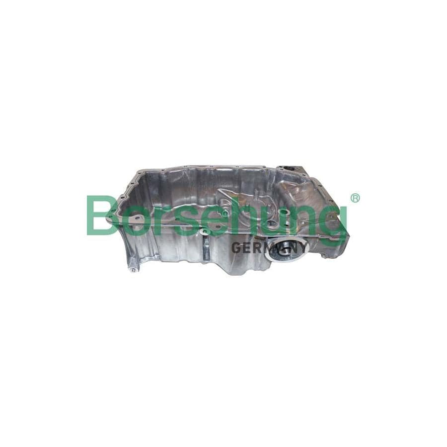 Borsehung B10657 Oil Sump