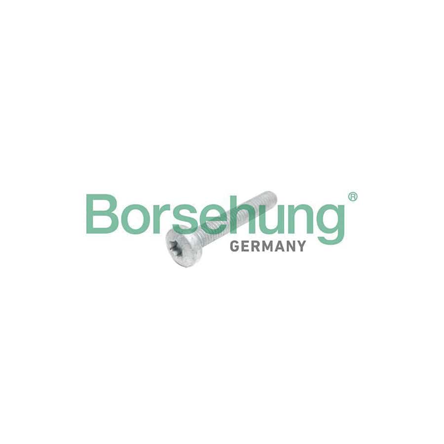 Borsehung B10645 Cylinder Head Bolt