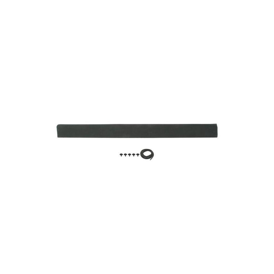 Blic 5703-04-9537574P Door Molding For VW Passat