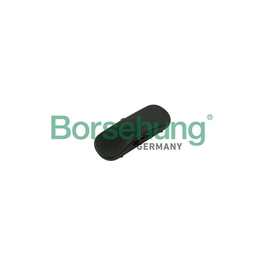 Borsehung B18495 Windscreen Washer Jet