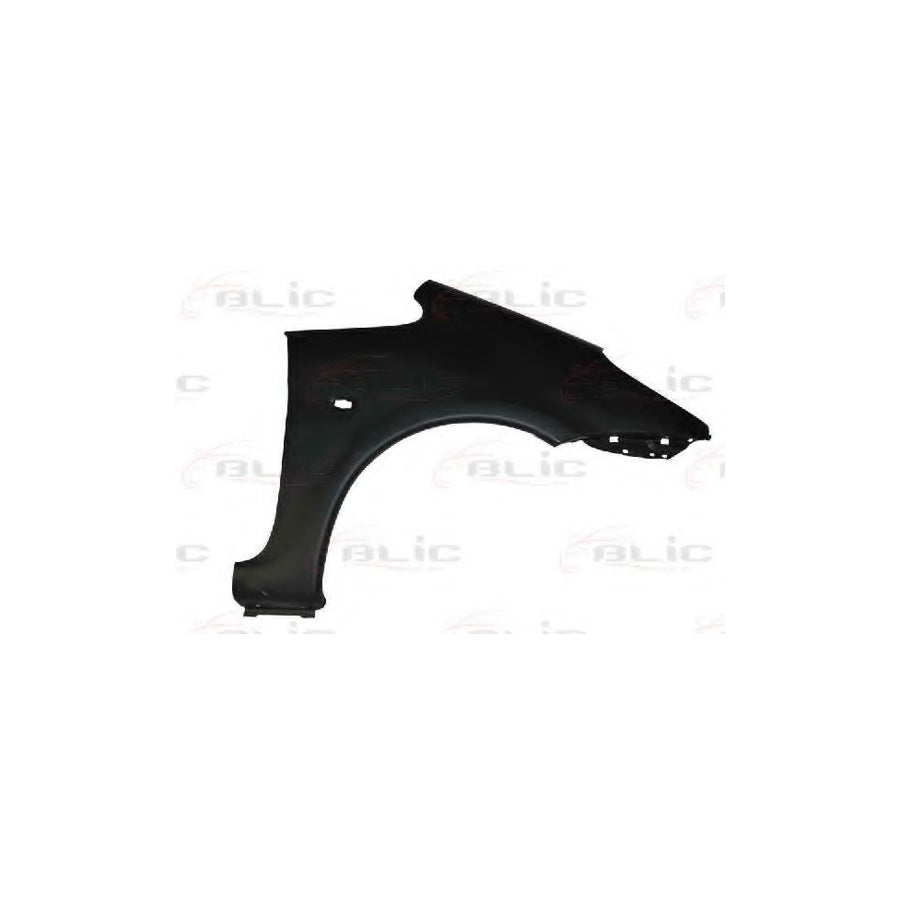 Blic 6504-04-0536312P Wing Fender For Citroen Xsara Picasso (N68)