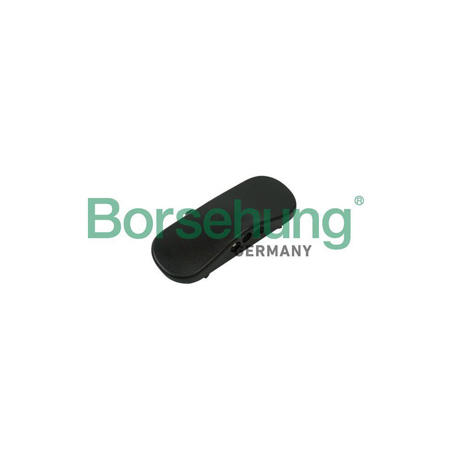 Borsehung B18494 Windscreen Washer Jet