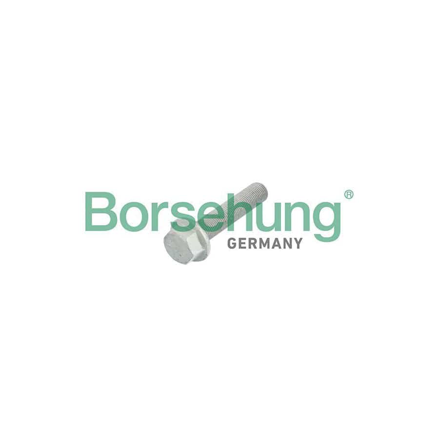 Borsehung B10633 Centering Bolt, Crankshaft Pulley