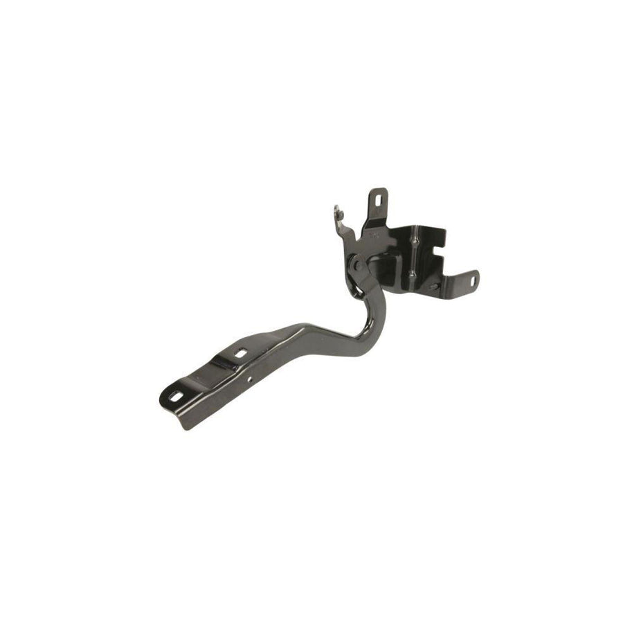 Blic 6802-00-6034451P Hinge, Bonnet For Renault Clio