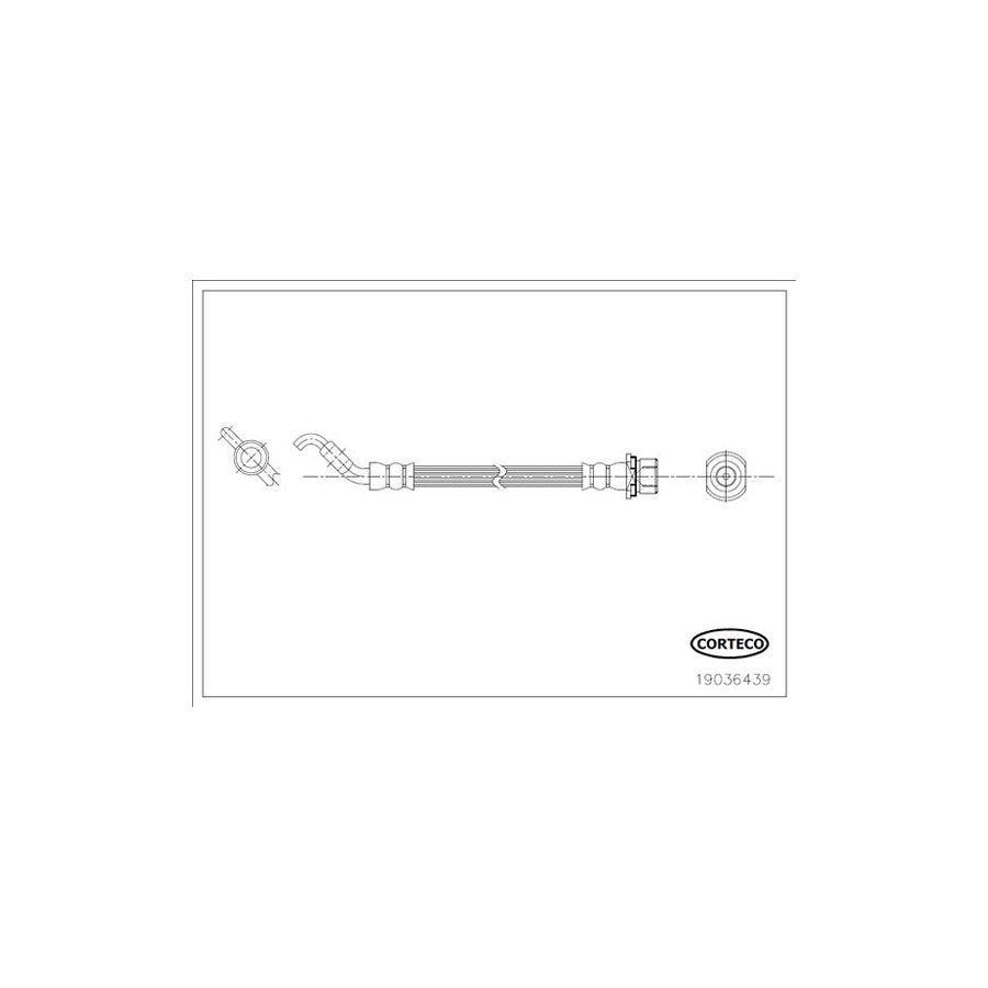 Corteco 19036439 Brake Hose | ML Performance UK