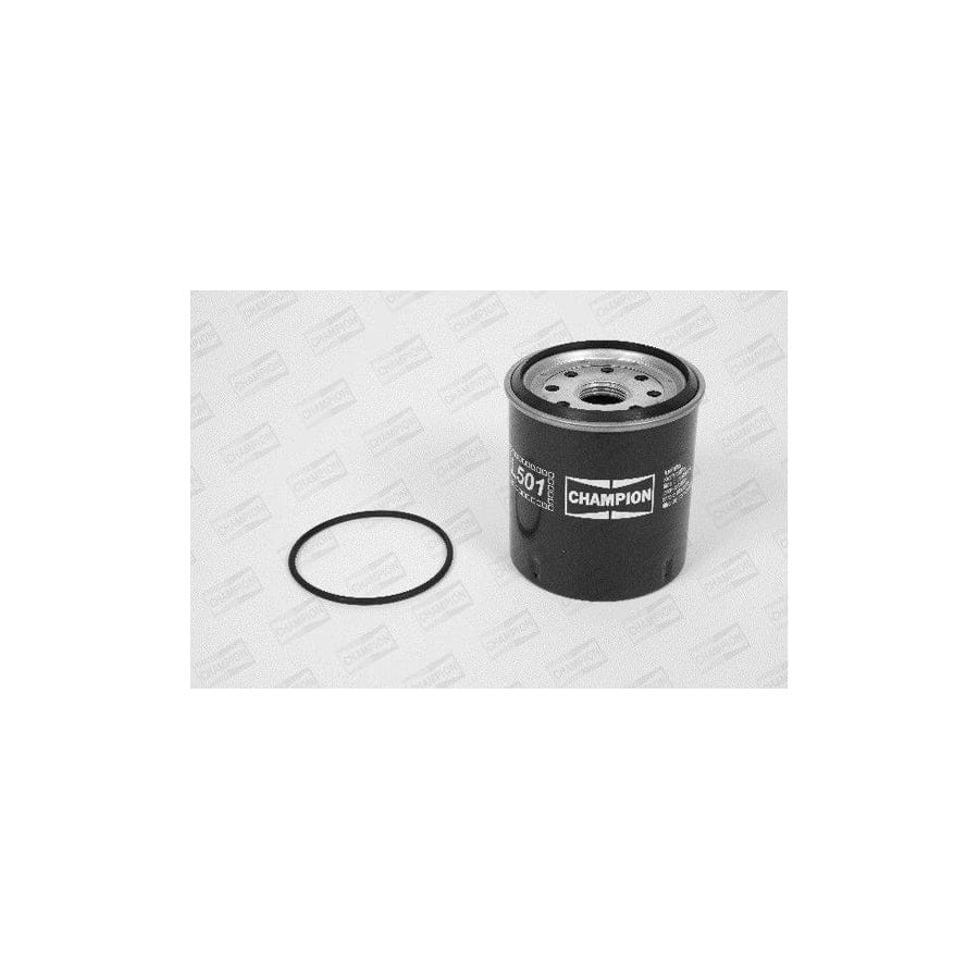 Champion L501/606 Fuel Filter