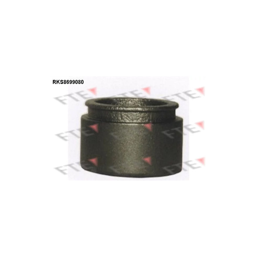 Fte RKS8699080 Piston, Brake Caliper | ML Performance UK Car Parts