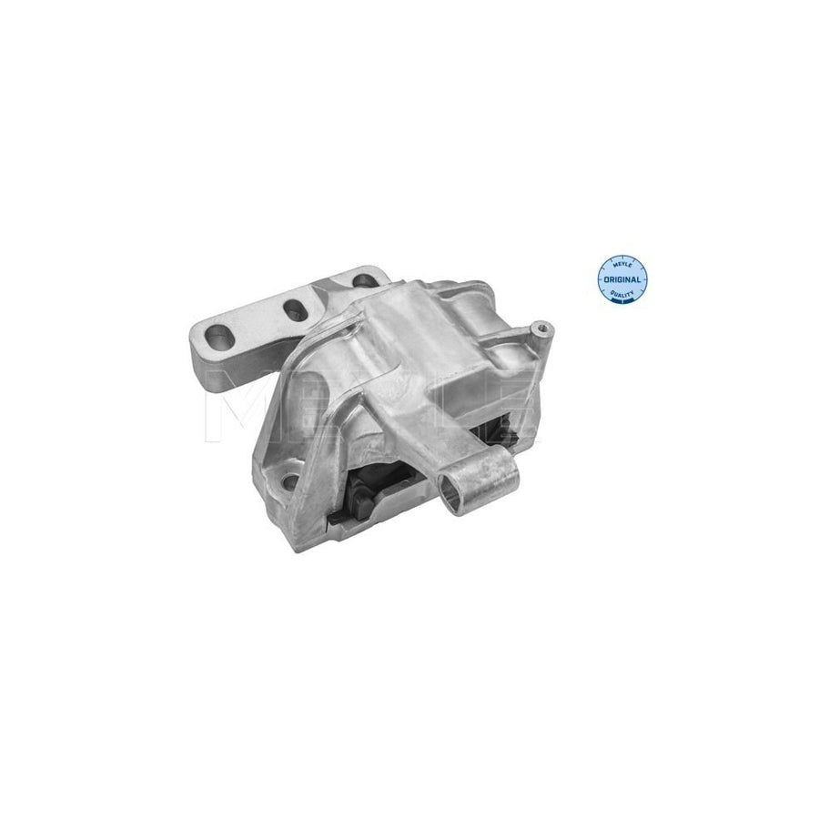 Meyle 100 199 0169 Engine Mount