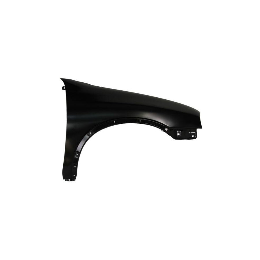 Blic 6504-04-9506313Q Wing Fender For VW Polo