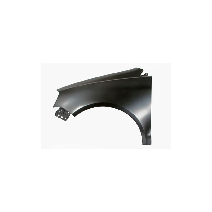 Blic 6504-04-9506313P Wing Fender For VW Polo