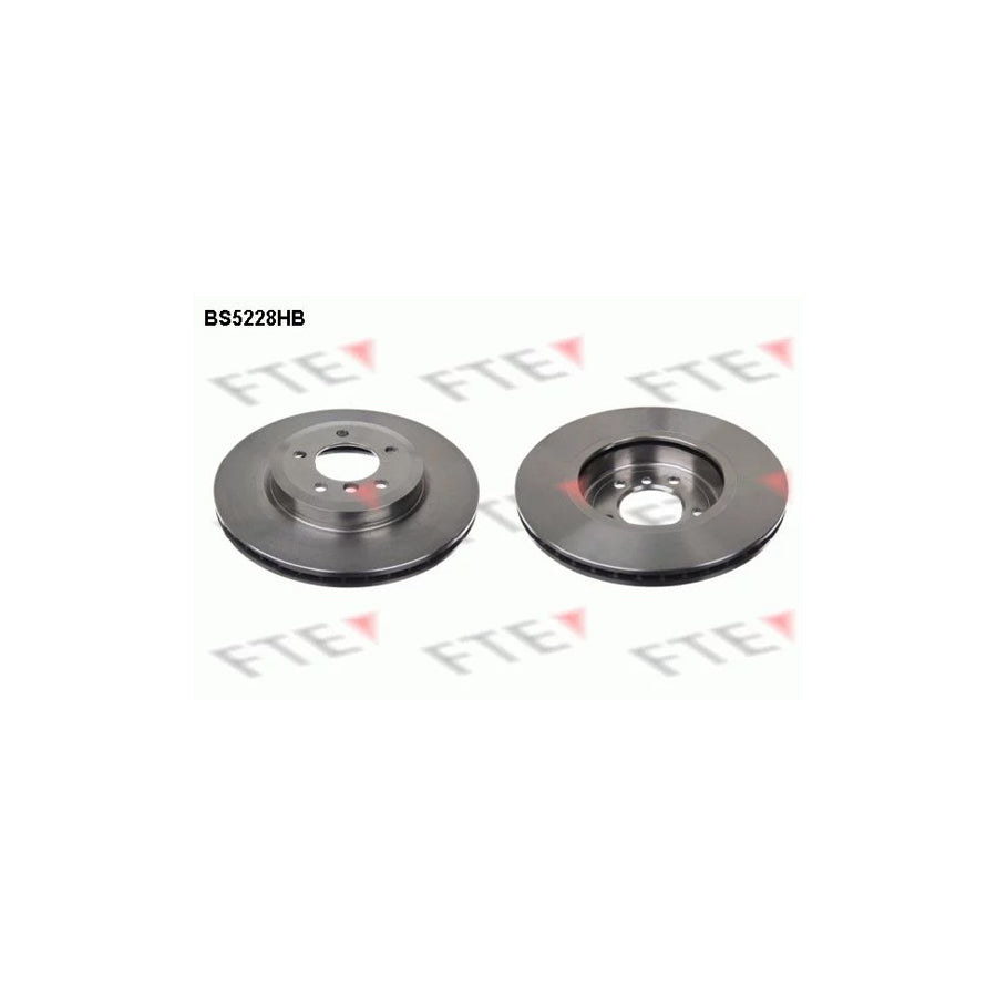 Fte BS5228HB Brake Disc | ML Performance UK Car Parts