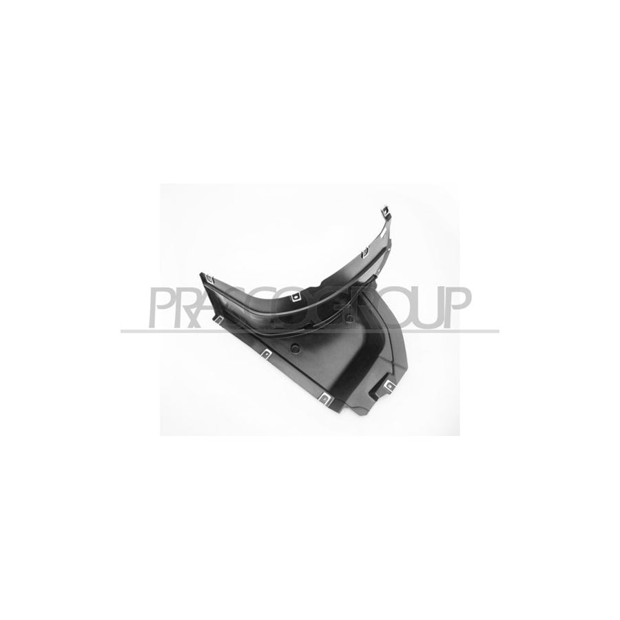 Prasco AD8123614 Panelling, Mudguard for AUDI Q3 (8UB, 8UG) | ML Performance UK Car Parts