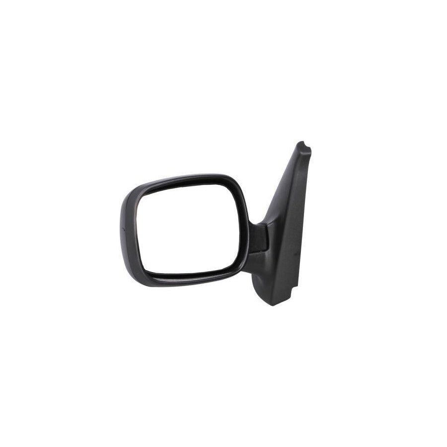 Blic 5402-04-9225172P Wing Mirror