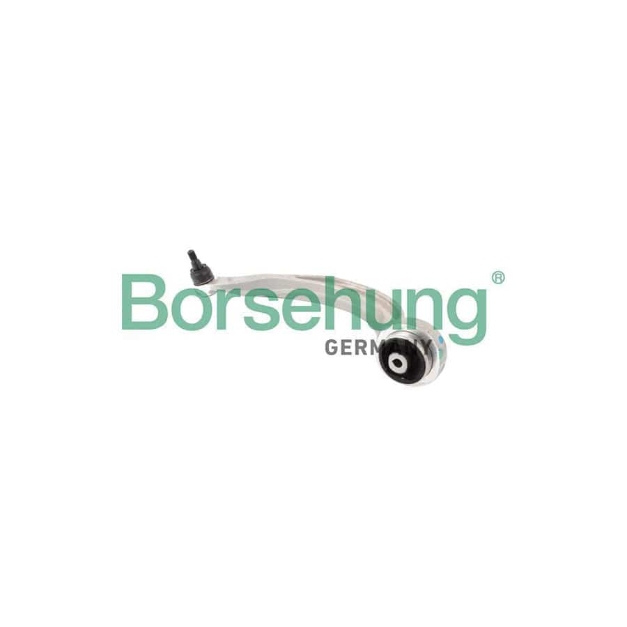 Borsehung B10845 Suspension Arm