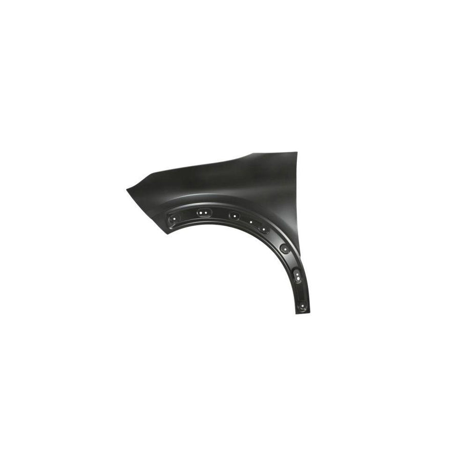 Blic 6504-04-0540315P Wing Fender For Citroen C4 II Cactus