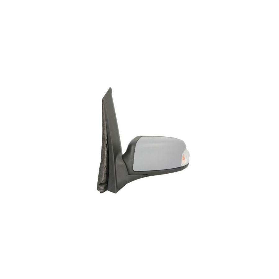 Blic 5402-04-9223399P Wing Mirror