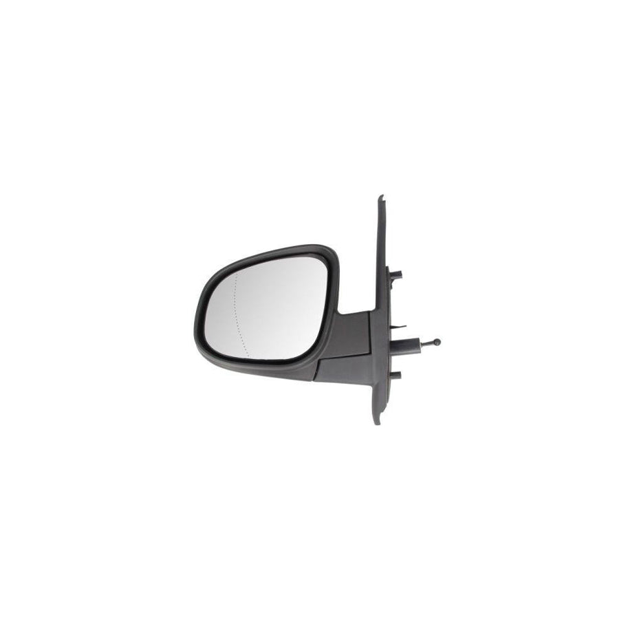 Blic 5402-02-2001747P Wing Mirror